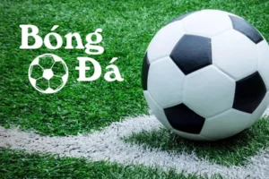 Hiểu Rõ Luật Bóng Trong Cuộc Và Bóng Ngoài Cuộc Trong Sân