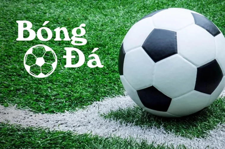 Hiểu Rõ Luật Bóng Trong Cuộc Và Bóng Ngoài Cuộc Trong Sân