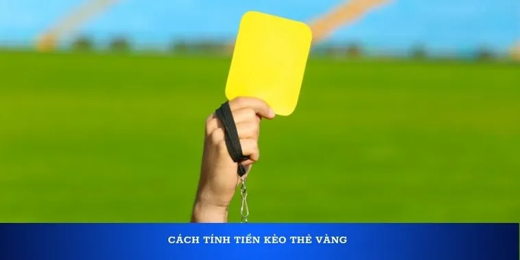 Cách Soi Kèo Thẻ Vàng Tại BongDaLu Đạt Tỷ Lệ Thành Công Rất Cao Luôn