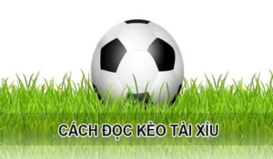 Cách Đặt Kèo Tài Xỉu Hiệp 1 Tại BongDaLu Để Nhận Thưởng Lớn