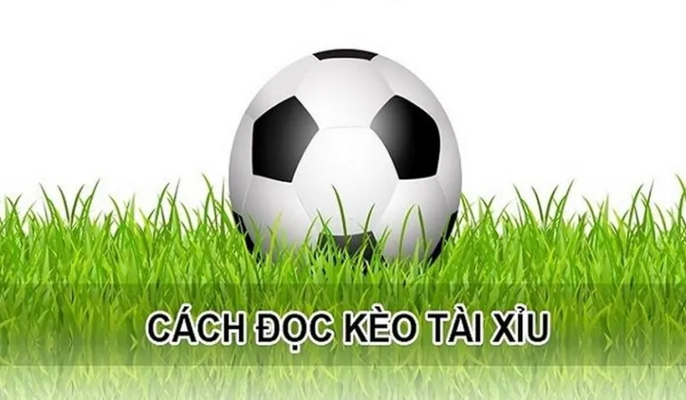 Cách Đặt Kèo Tài Xỉu Hiệp 1 Tại BongDaLu Để Nhận Thưởng Lớn