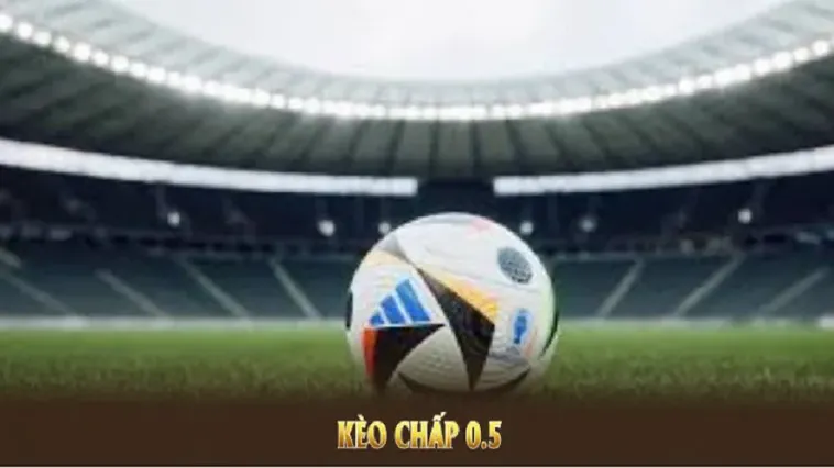 Kinh Nghiệm Thắng Kèo Chấp 0.5 Tại BongDaLu Nhanh Chóng Trong Mỗi Trận Đấu