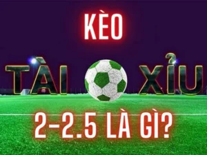 Bí Quyết Chinh Phục Kèo 2.25 Tại BongDaLu Dành Cho Những Người Mới Bắt Đầu