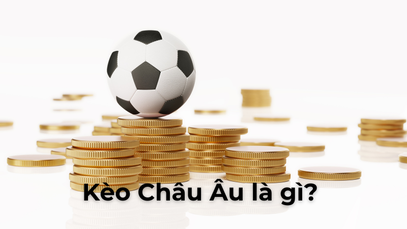 Cách Đặt Kèo Châu Âu Tại BongDaLu Để Trở Thành Cao Thủ Cá Độ Giỏi