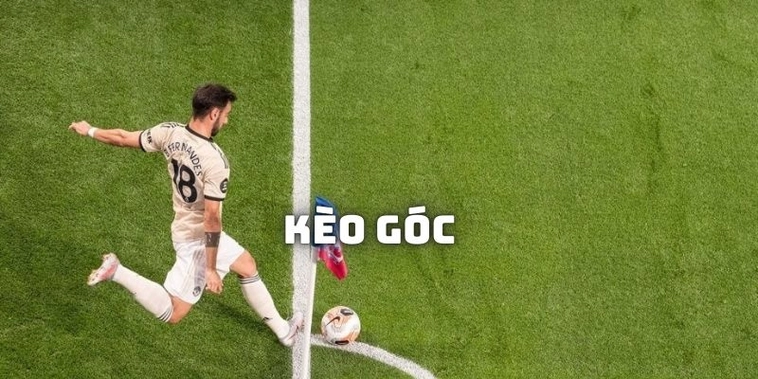 Cách Đọc Kèo Phạt Góc Bóng Đá Tại BongDaLu Giúp Bạn Thắng Lớn Mỗi Ngày