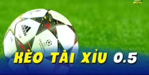 Bí Kíp Đặt Kèo Tài Xỉu Tại BongDaLu Để Thắng Lớn Mỗi Ngày Luôn Nhé