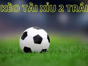Hướng Dẫn Soi Kèo Tài Xỉu Bóng Đá Tại BongDaLu Cực Chuẩn Cho Người Mới