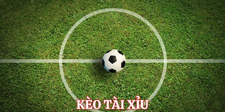 Hướng Dẫn Soi Kèo Tài Xỉu Bóng Đá Tại BongDaLu Cực Chuẩn Cho Người Mới