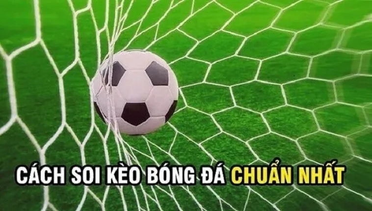 Mẹo Chơi Kèo Rung Trong Bóng Đá Tại BongDaLu Để Nhận Thưởng Cực Lớn