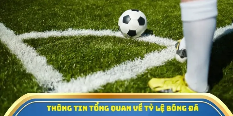 Tỷ lệ kèo cao bất thường so với mặt bằng chung của thị trường cá cược quốc tế hiện nay.